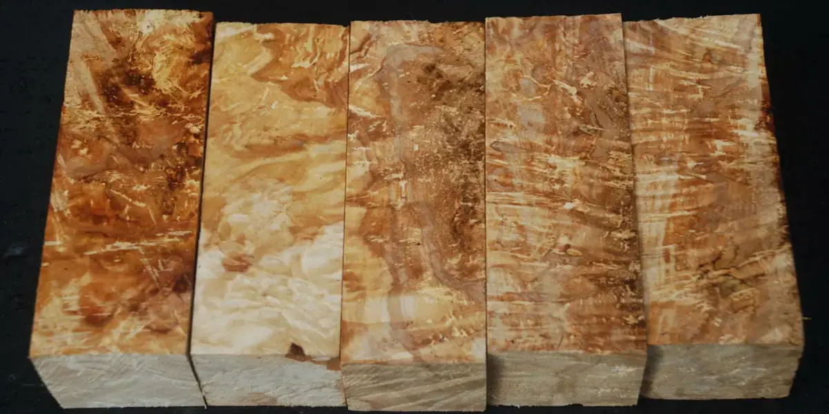 Кап берёзовый: цена за килограмм доходит до 5к $