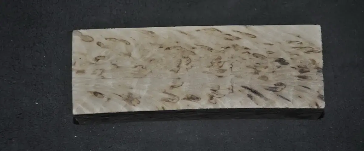 Кап берёзовый: цена за килограмм доходит до 5к $