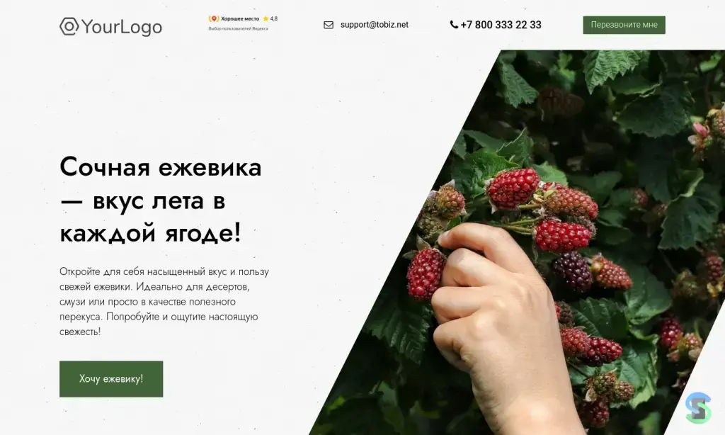 Tobiz - конструктор сайтов с нуля